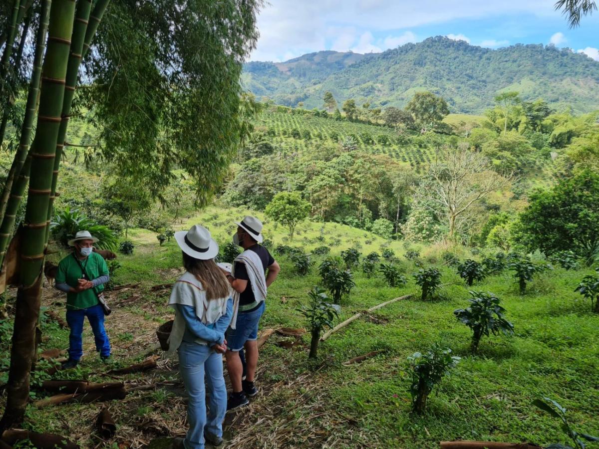 Finca Del Cafe - Casa Typica Santa Rosa de Cabal Luaran gambar